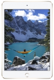 iPad mini 4.